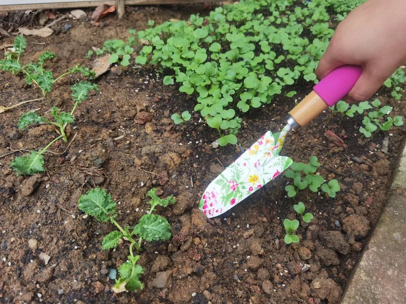 Sada zahradního nářadí Ladies 3 díly