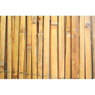 Plot Bambus 200 cm/5 m