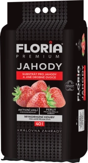 FLORIA Substrát pro jahody 40 l